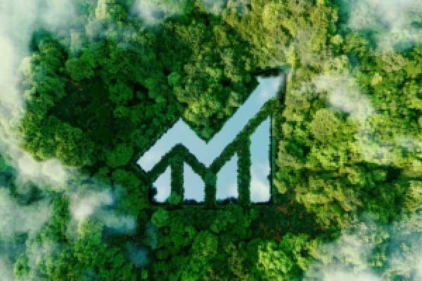 2025年5月12日外汇市场主要货币对上一交易日收盘价